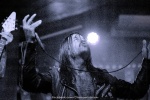 comp_IMG_8649.jpg